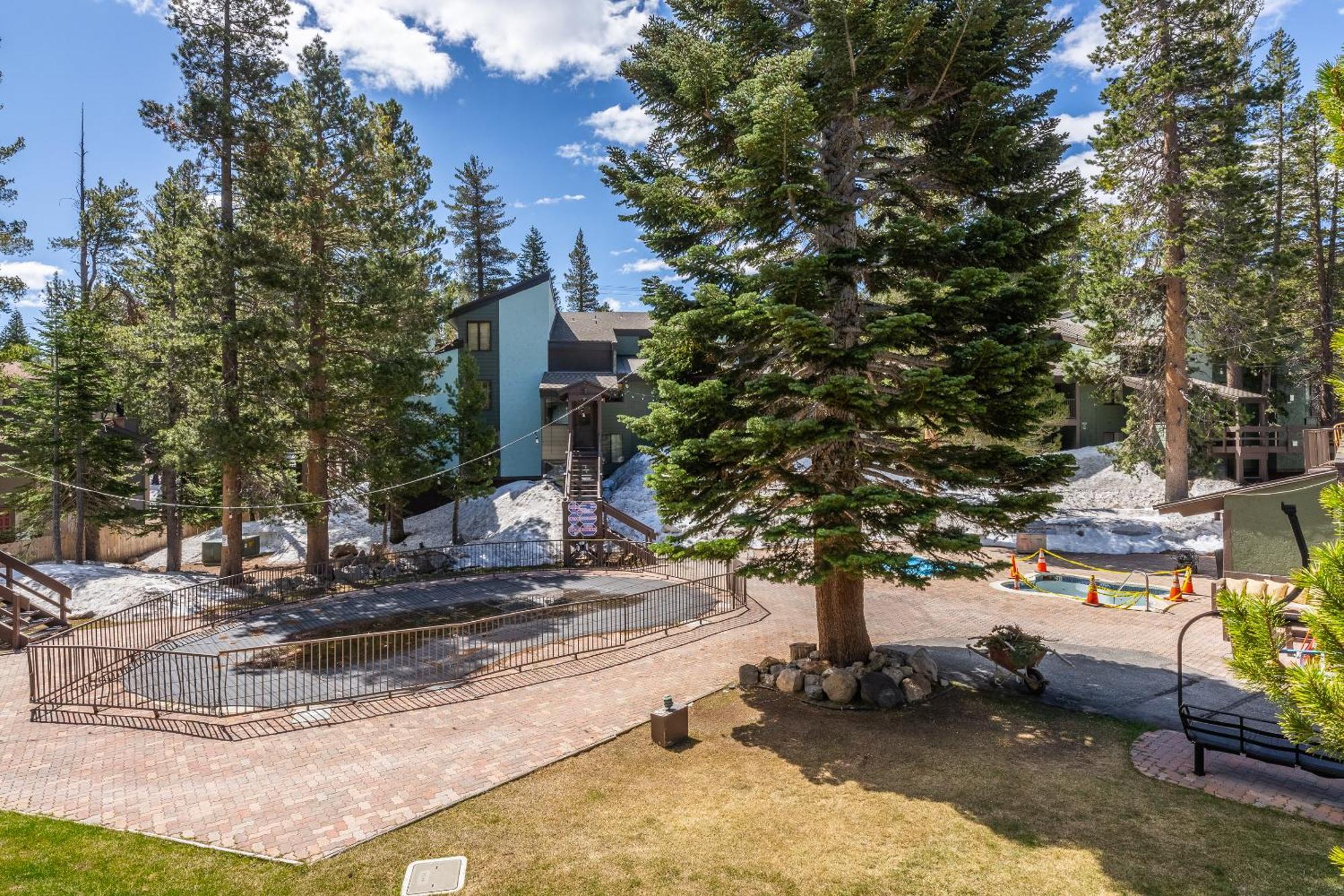 Fully Renovated! St Anton #17 Ski In Ski Out 1 Bedroom 1 Bathroom Condo! Sleeps Up To 4! Маммот Лейкс Экстерьер фото